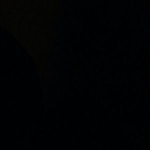 Meet your Posher, Maddy